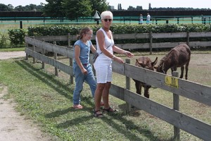 Open dag 9 juli 2017