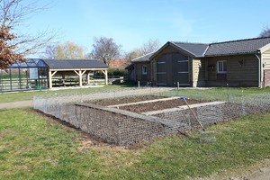 Planten en omgeving